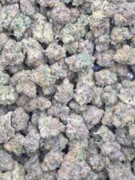 Gelato #41 (Indoor Premium) - Image 2