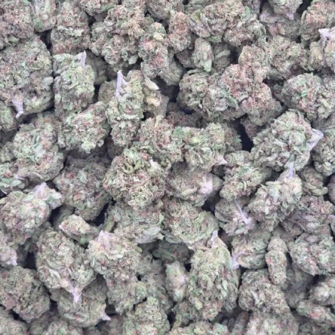 Super Silver Haze (Light Dep Smalls) Super Silver Haze (Light Dep Smalls) - Image 1