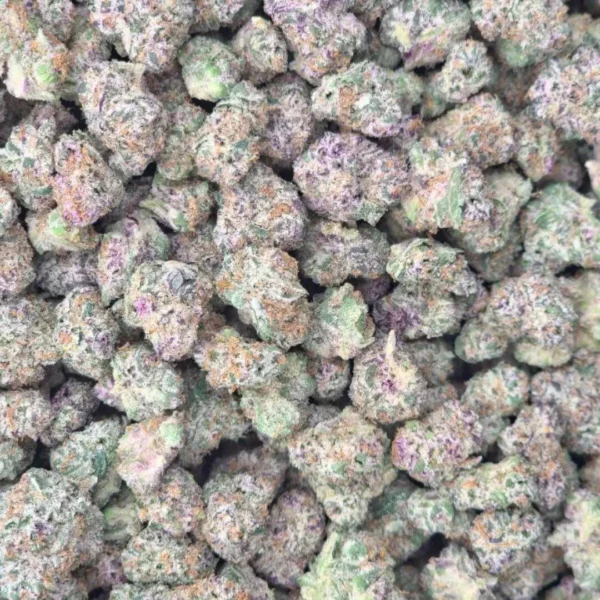 Cherry Diesel (Indoor Minis)