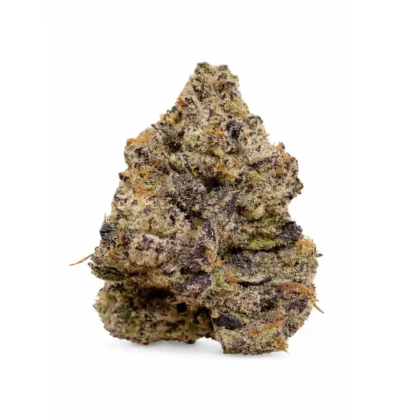 Gas Mask (Exclusive Collection)