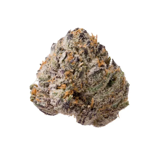 Gelato #41 (Indoor Premium)