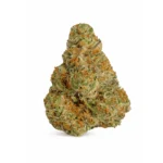 Gelonade (Indoor Premium)