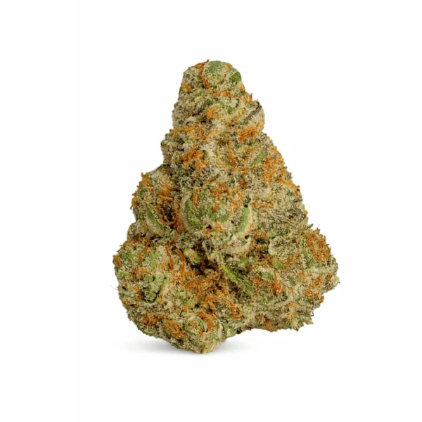 Gelonade (Indoor Premium)