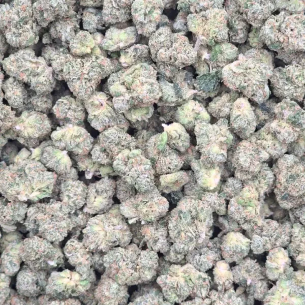 SUBZERO (ZKITTLES X SKYWALKER OG) (Indoor Smalls)