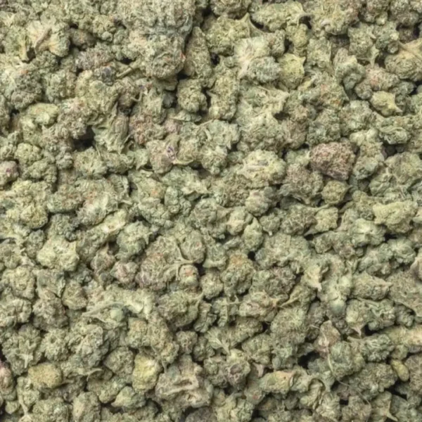 White Runtz (Light Dep Small)