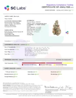 Alien Kush (Indoor Premium) - Image 3