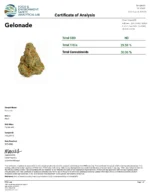 Gelonade (Indoor Premium) - Image 3