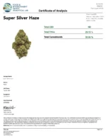 Super Silver Haze (Light Dep Smalls) - Image 3