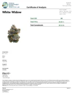White Widow (Indoor Premium) - Image 3