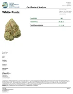 White Runtz (Light Dep Small) - Image 3