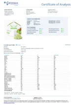 WYLD 100mg Gummies 10 pcs 10mg/pc - Image 5